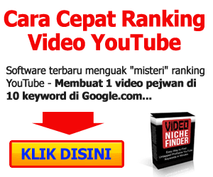 Video Niche Finder